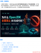 为什么 OpenJDK 全面禁止 AI 生成代码？
